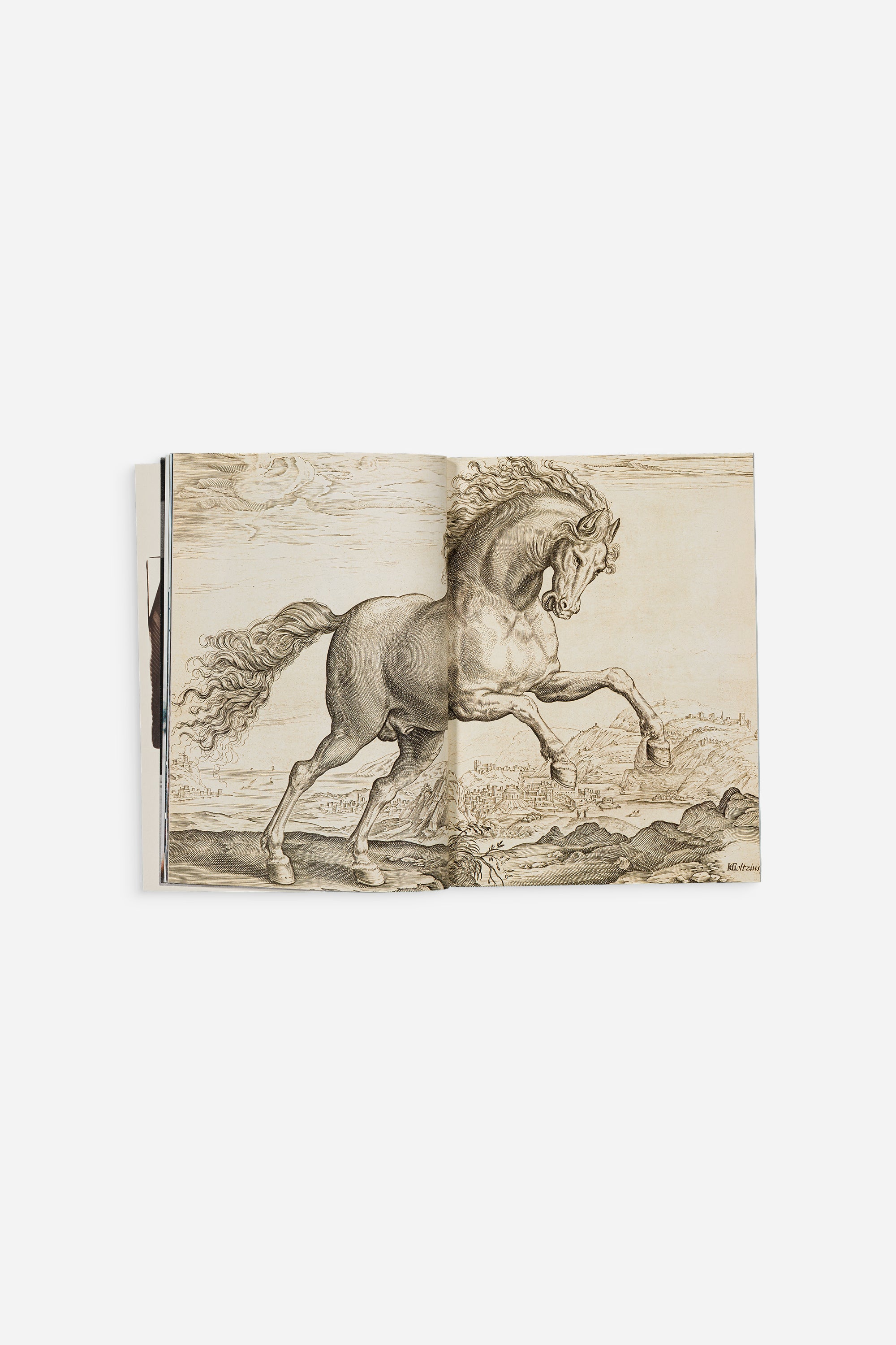 LE MONDE D’HERMÈS
